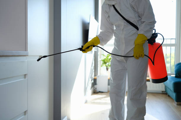 Best Residential Mold Removal  in Highlands, CA